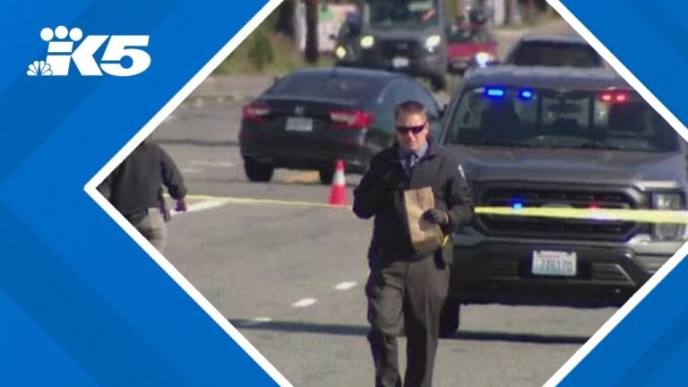 breaking news skagit​