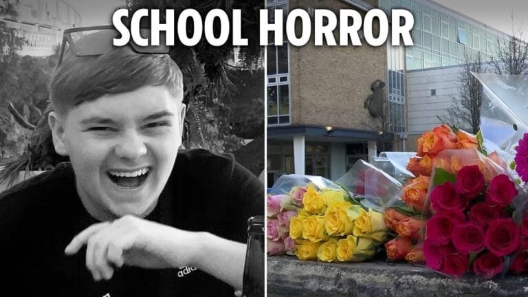 sun community news​