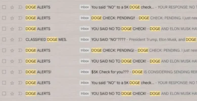 Your DOGE check is not in the mail