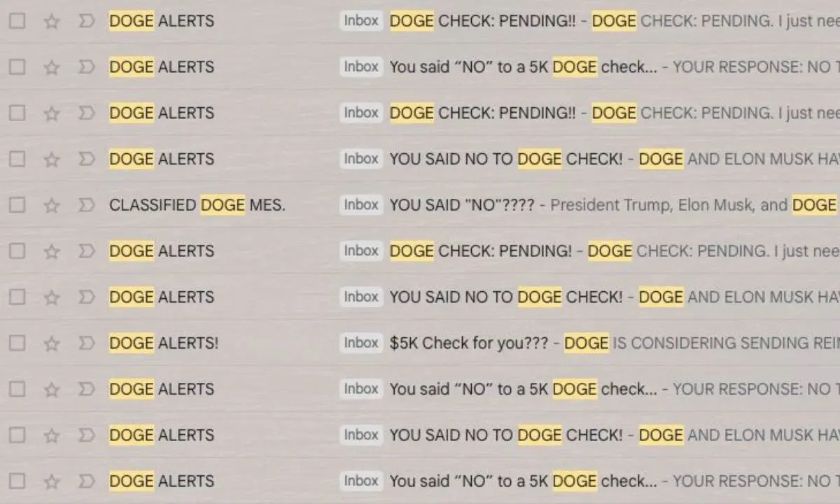 Your DOGE check is not in the mail